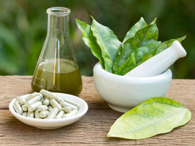 department of Anatomy