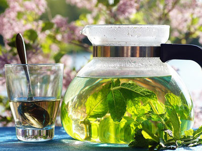 department of Anatomy