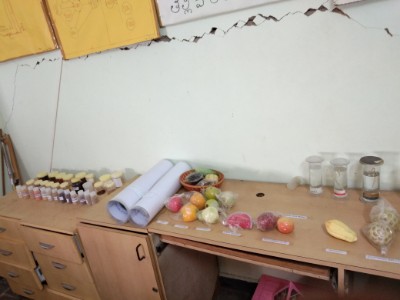 department of gynaecology