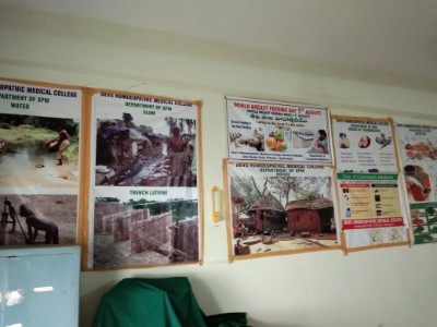 department of gynaecology