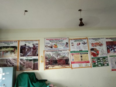 department of gynaecology