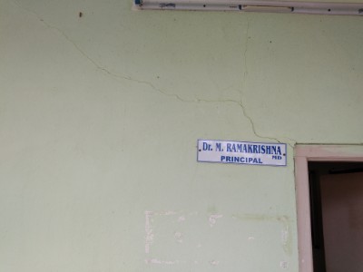 department of gynaecology