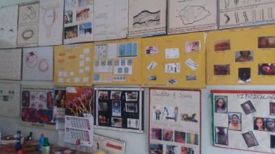 department of gynaecology