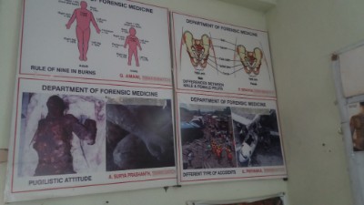 department of gynaecology