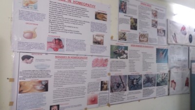 department of gynaecology