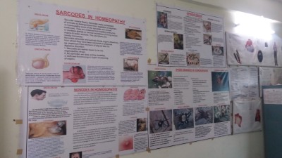 department of gynaecology