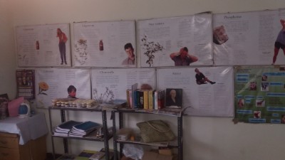 department of gynaecology