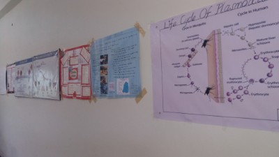 department of gynaecology