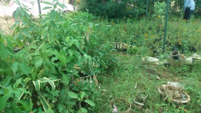 department of gynaecology