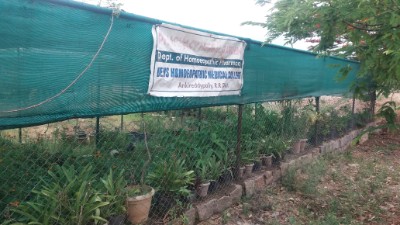 department of gynaecology