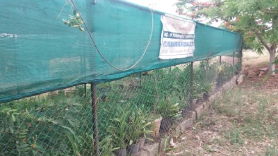 department of gynaecology