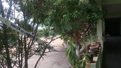 department of gynaecology