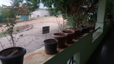 department of gynaecology