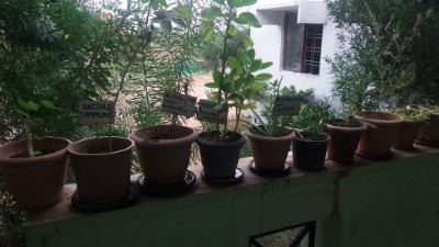 department of gynaecology