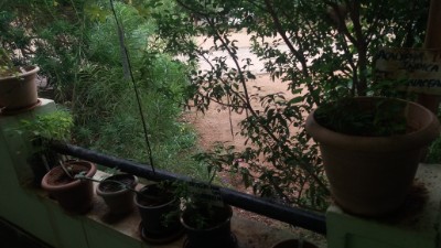 department of gynaecology