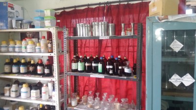 department of gynaecology