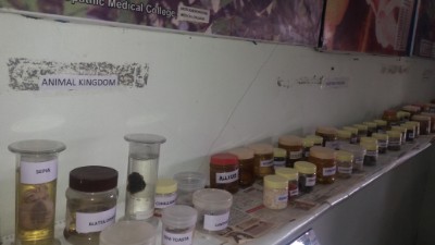 department of gynaecology