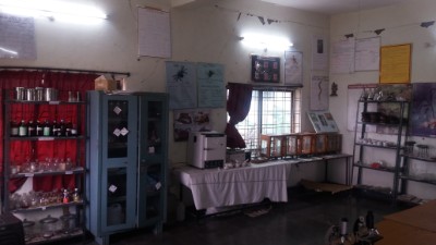 department of gynaecology