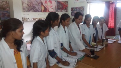 department of gynaecology