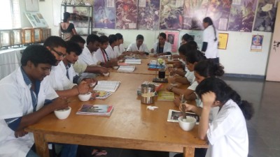 department of gynaecology