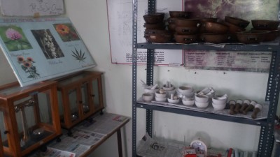 department of gynaecology