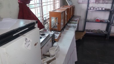 department of gynaecology