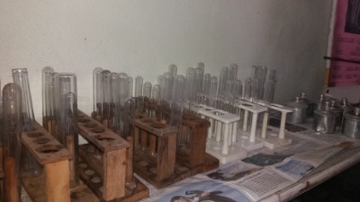 department of gynaecology