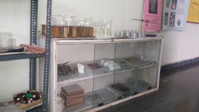 department of gynaecology