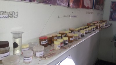 department of gynaecology