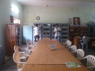 department of gynaecology