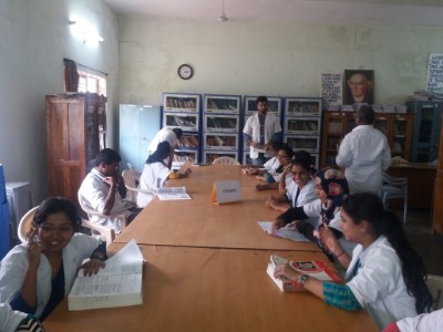 department of gynaecology