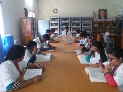 department of gynaecology