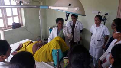 department of gynaecology