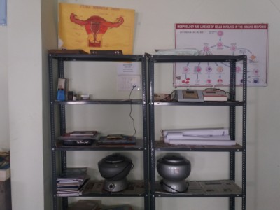 Department of Physiology