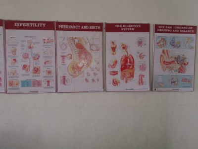 Department of Physiology