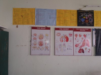 Department of Physiology