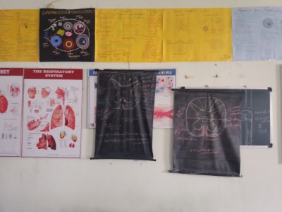 Department of Physiology