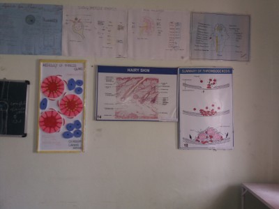 Department of Physiology