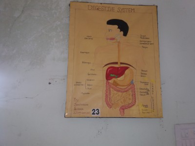 Department of Physiology