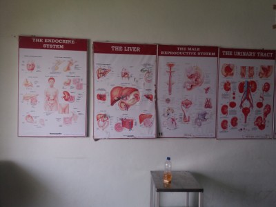 Department of Physiology