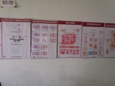 Department of Physiology