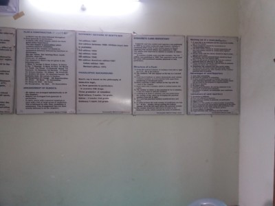 Department of repertory